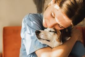 helping dogs stay active, comfortable, and happy at every age.